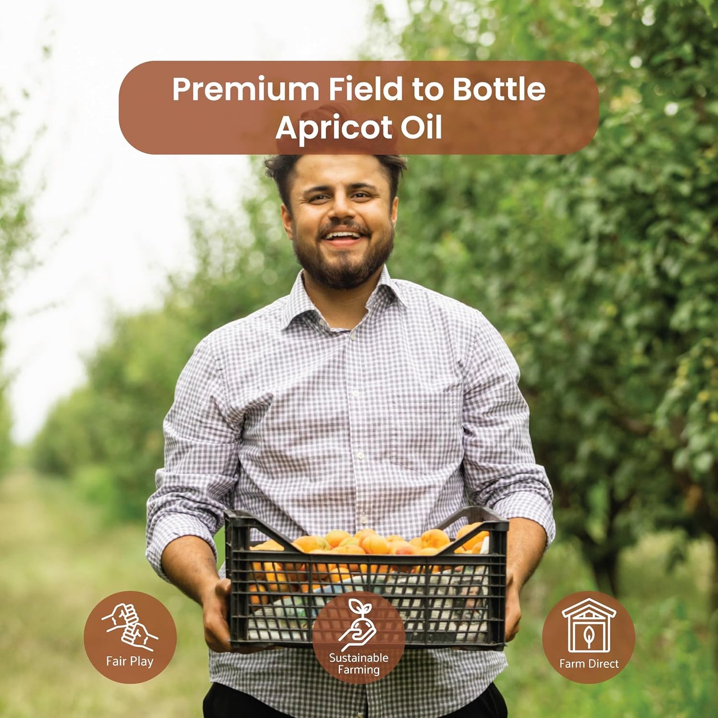 Apricot Kernel Oil - Direct from Spain and Turkey - 100% Pure Carrier Oil for Hair, Face, and Skin - Cold-Pressed Carrier Oils - (16 oz) 1 Pack
