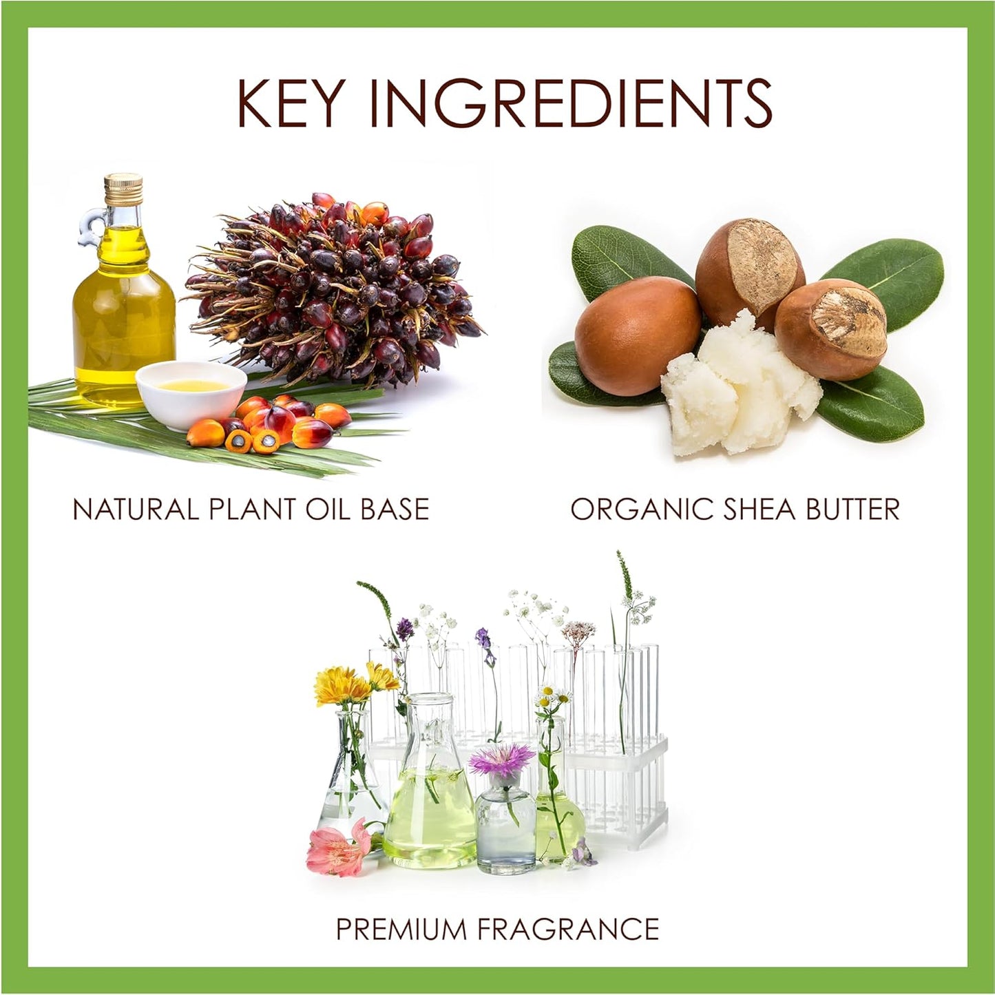 BELA Olive Oil and Cocoa Butter Soap, 3.3 OZ Pack of 6, Long Lasting French Triple Milled Bar Soap with Organic Shea Butter, Hand, Face and Body Wash Bar, Made in Australia