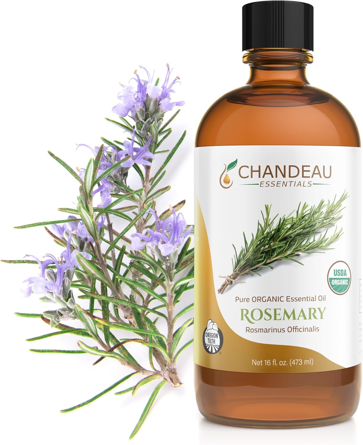 100% Pure Organic Essential Oil, Pure Rosemary Essential Oil for Aromatherapy, Soap Making, Candles, Laundry, Perfume, Cleaners or Diffusers - Large Amber Glass Bottle, 16 oz.