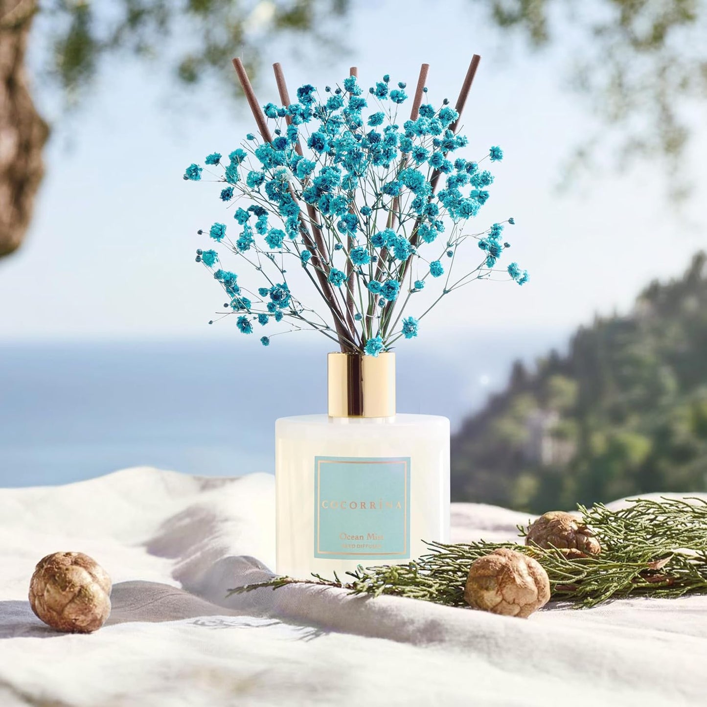 COCORRÍNA Reed Diffuser - Ocean Mist 6.7 Fl.oz Reed Diffuser Set with Sticks & Preserved Baby's Breath, Reed Diffuser for Home Bathroom Shelf Decor