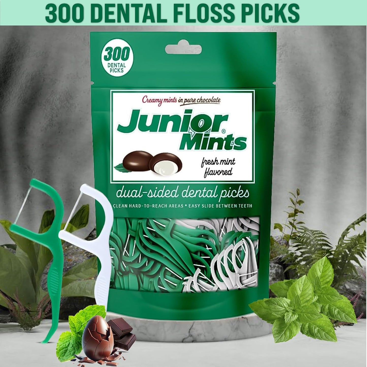 Flavored Floss Picks, 300 Count, Dental Floss Picks for Teeth with Fun Fruit Flavors, Flosser Picks for Adults and Children, | Mint Flavor