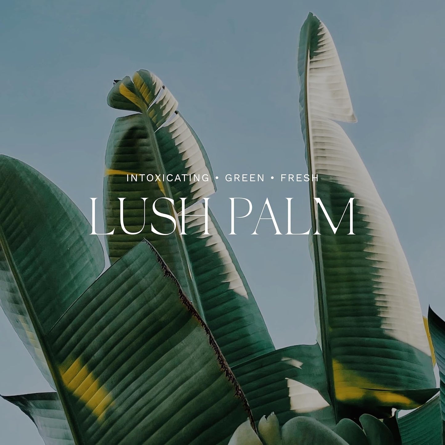 Antica Farmacista Lush Palm Bubble Bath, 16 Fl Oz