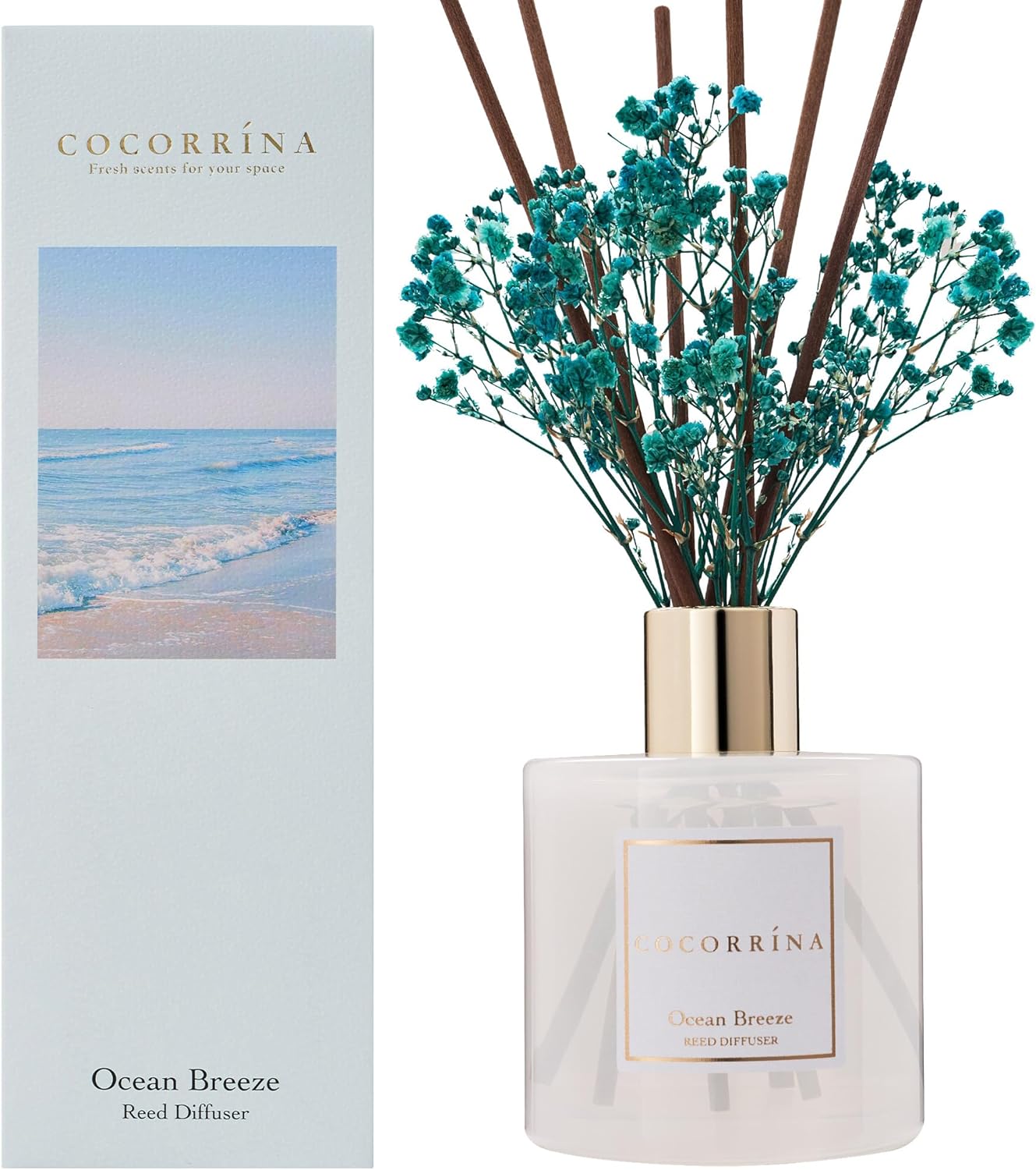 COCORRÍNA Reed Diffuser - Ocean Breeze Scented Diffuser with 8 Sticks Home Fragrance Reed Diffuser for Bathroom Shelf Decor