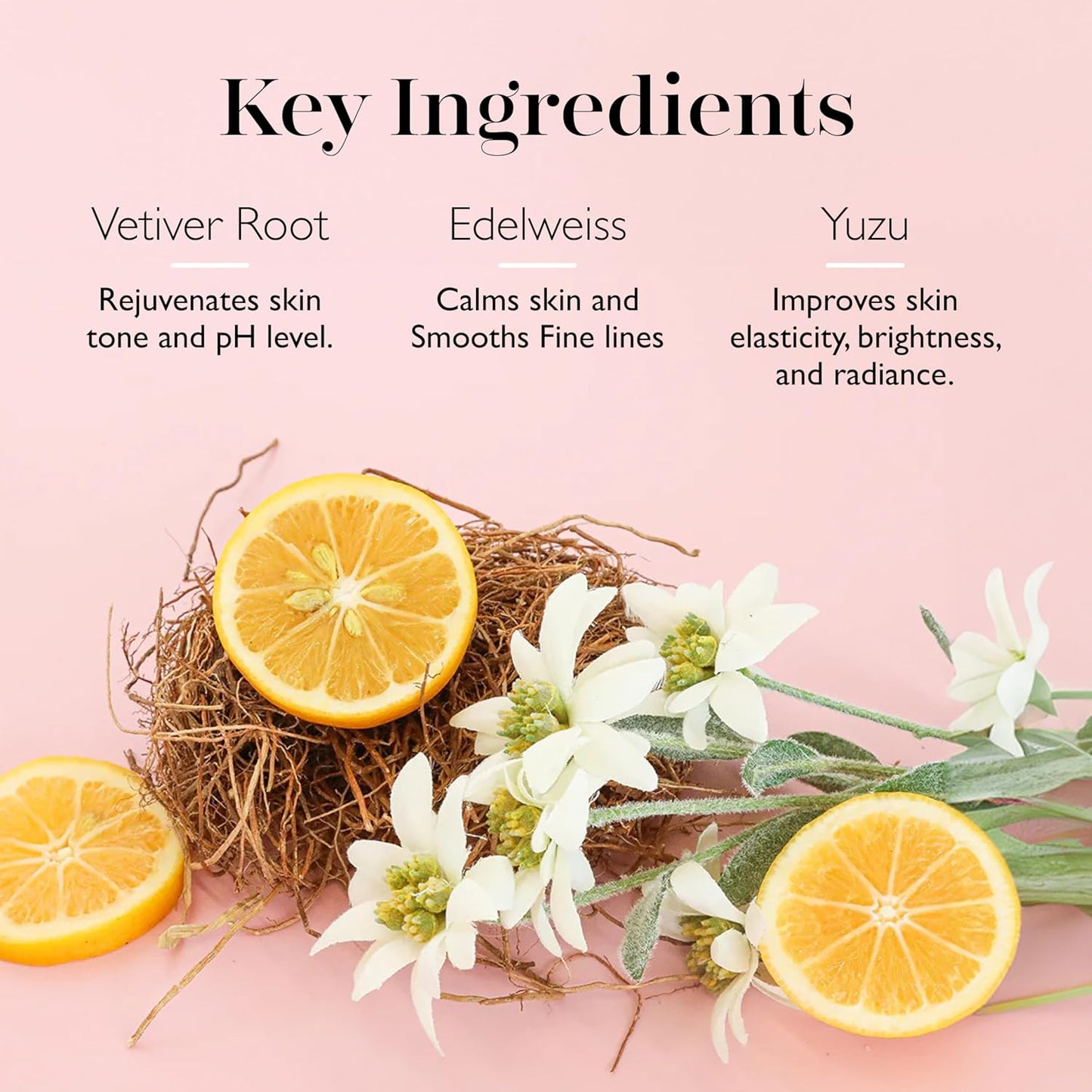 Spongellé Gingerbread Gift Set Body Wash Infused Buffers, Sugar & Spice