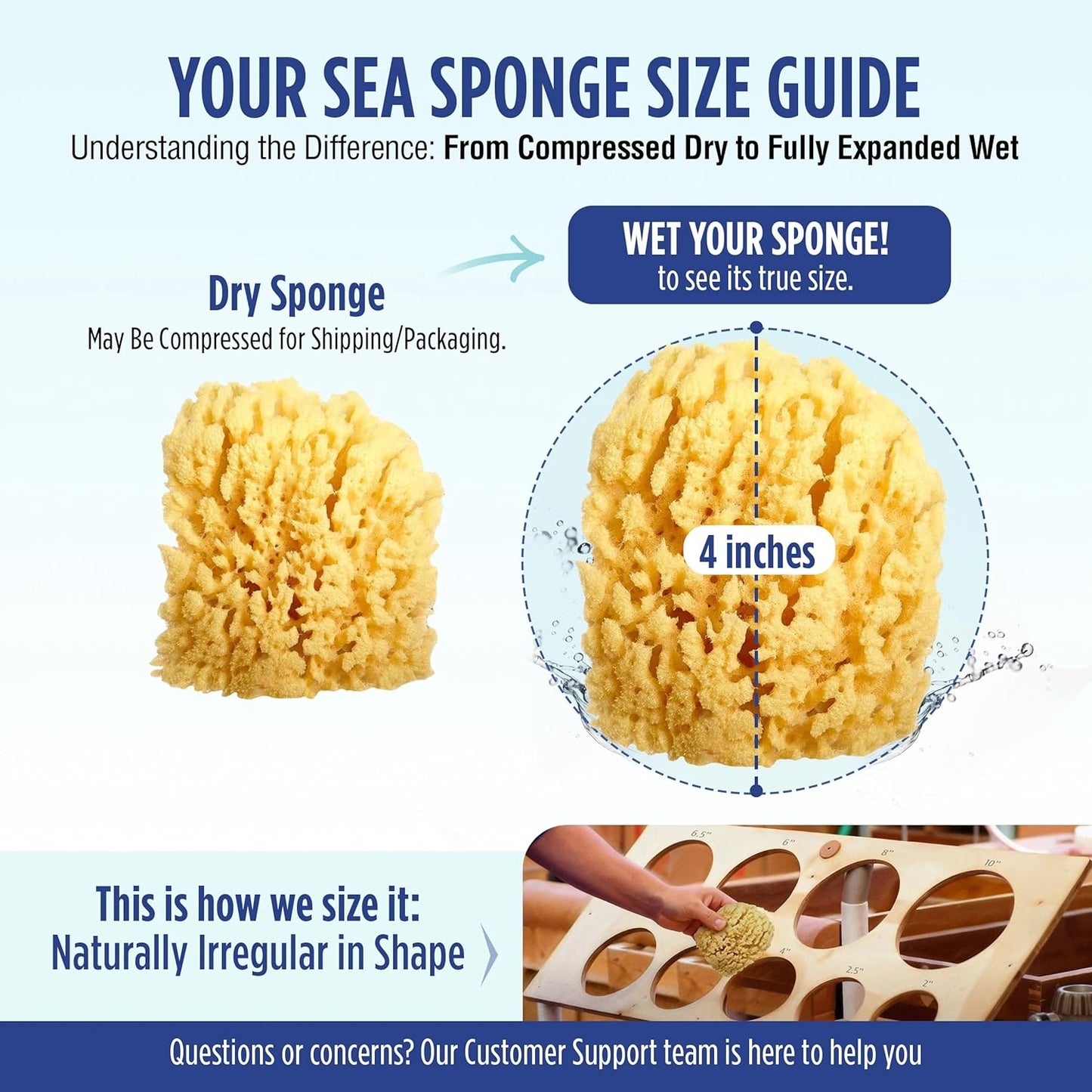 Baby Buddy Baby Bath 4in Assorted Sea Sponges, Absorbent Natural Sea Sponge, Soft on Tender Skin, Biodegradable, Hypoallergenic, Bath Accessories for Bathing, 3 Pack