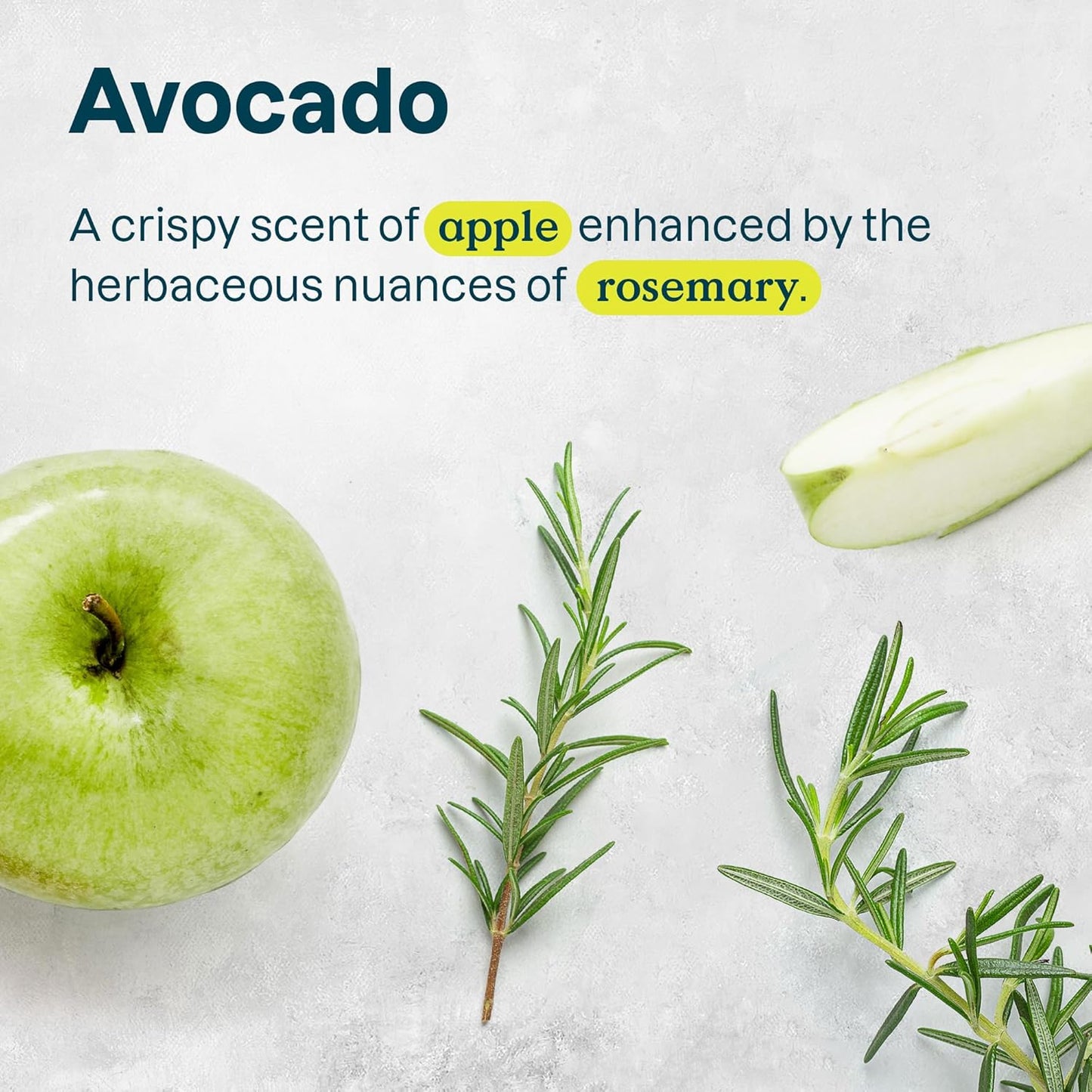 ATTITUDE Hair Conditioner for Sensitive Dry Scalp, Dry and Damaged Hair, Soothing Oat, Naturally Derived Ingredients, Dermatologically Tested, Vegan Detangler, Nourishing, 8 Fl Oz (Pack of 6)