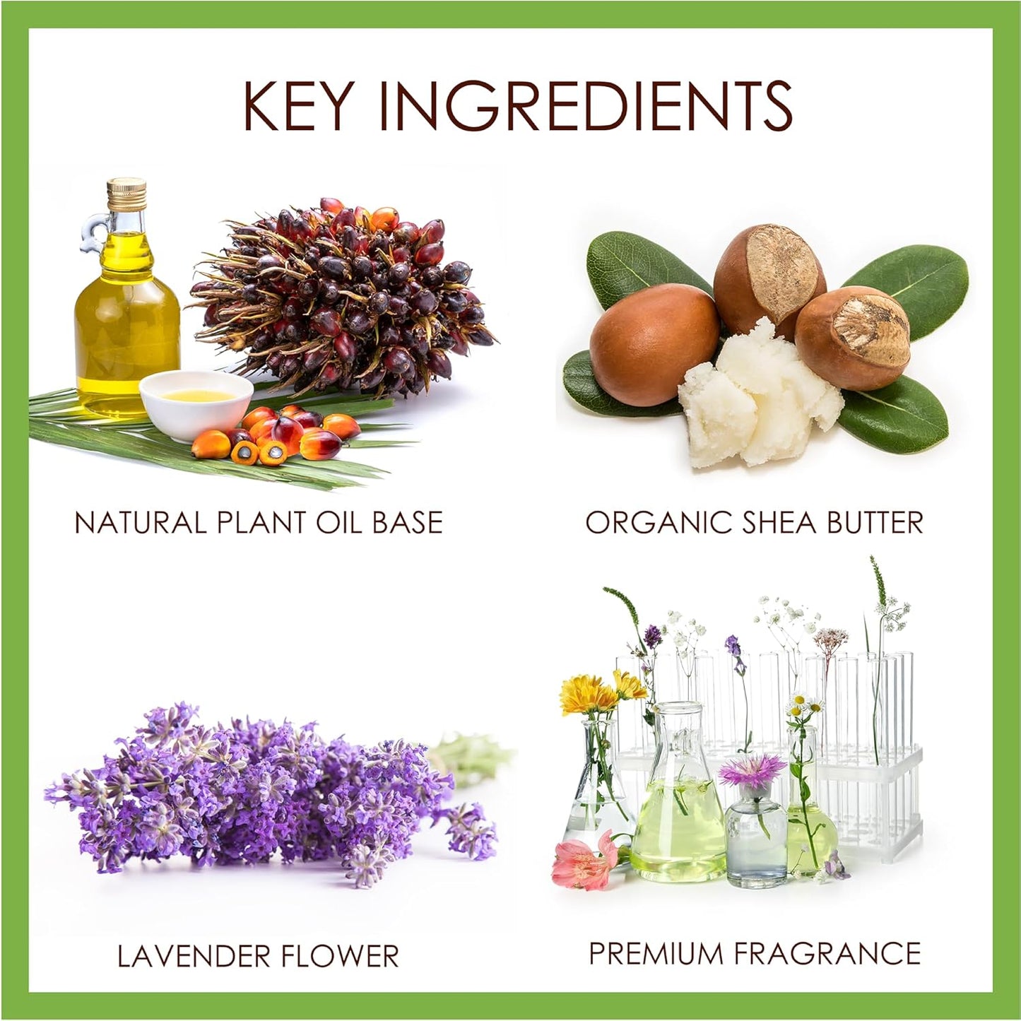 BELA Lavender Soap Bars 3.3 OZ Pack of 6, French Triple Milled Bar Soap with Organic Shea Butter, Lavender and Flower Scented Soap, Made in Australia