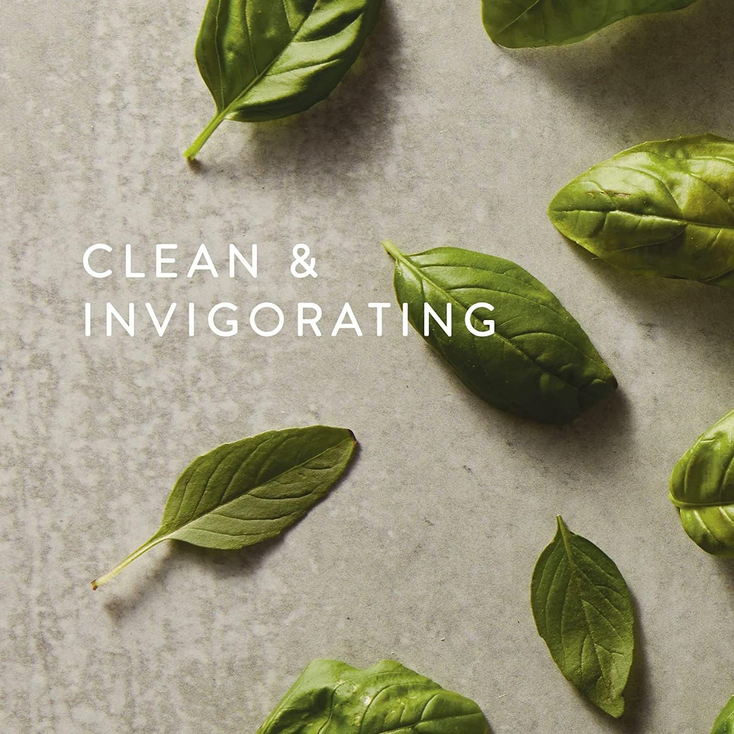 Thymes Fragrance Mist - 3 Oz - Fresh-Cut Basil