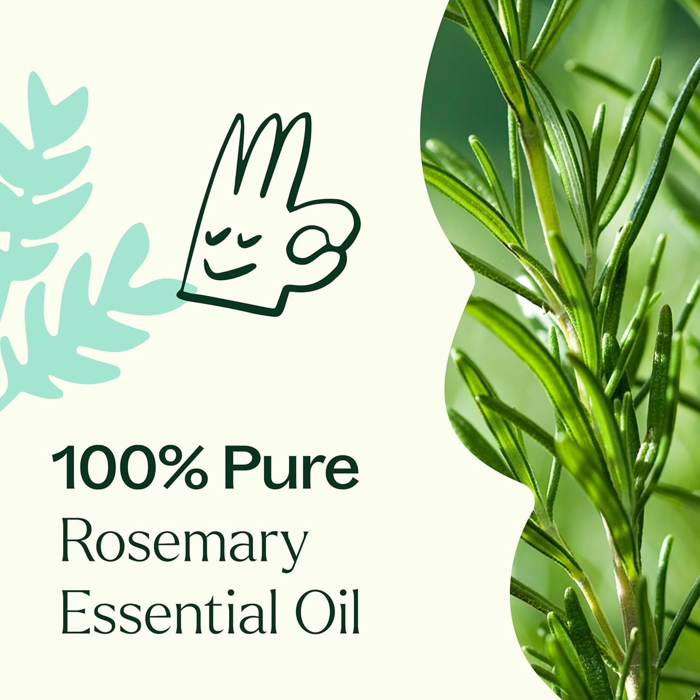 Plant Therapy Rosemary Essential Oil for Hair Growth, 100% Pure, Undiluted, Natural Aromatherapy for Diffuser & Rosemary Oil for Hair & Scalp, Therapeutic Grade 30 mL (1 oz)
