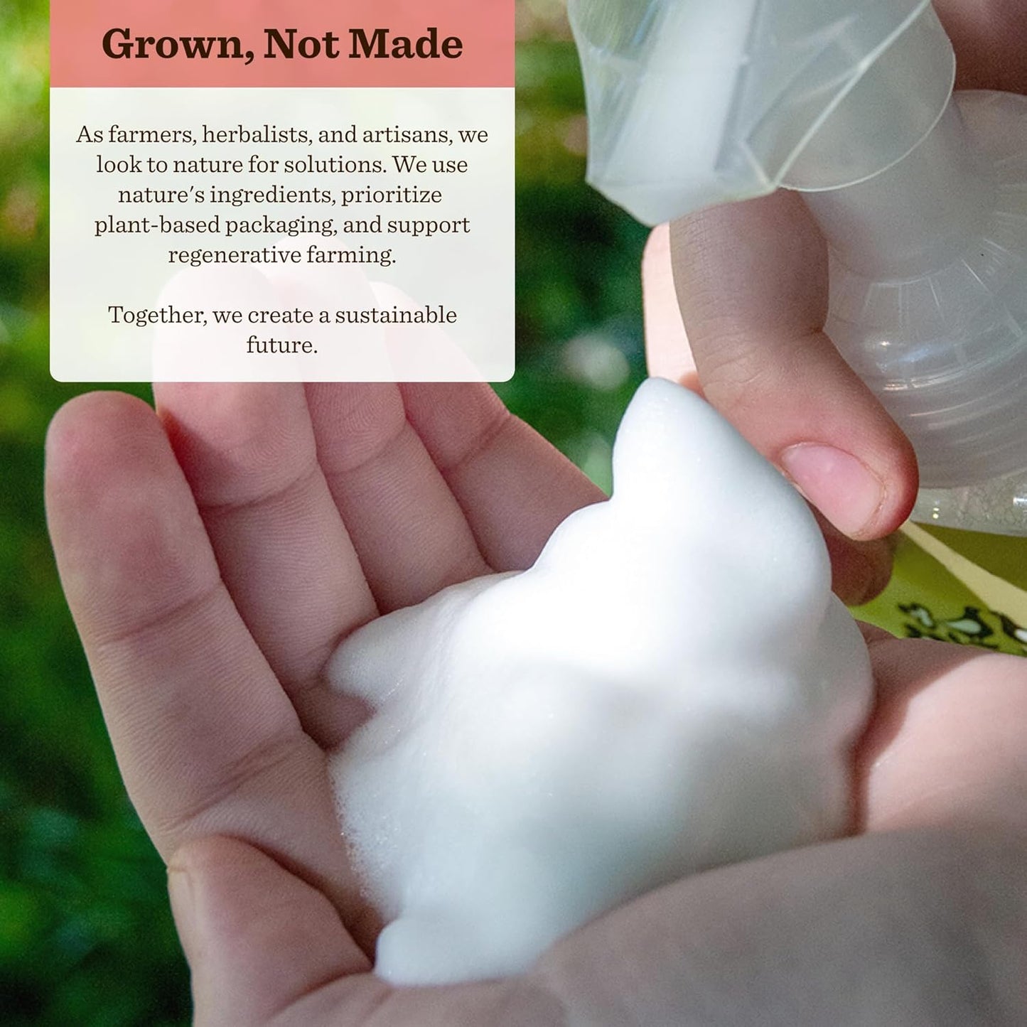 Moon Valley Herbal Foaming Hand Soap, Vegan (Candy Cane, Recyclable Bottle)