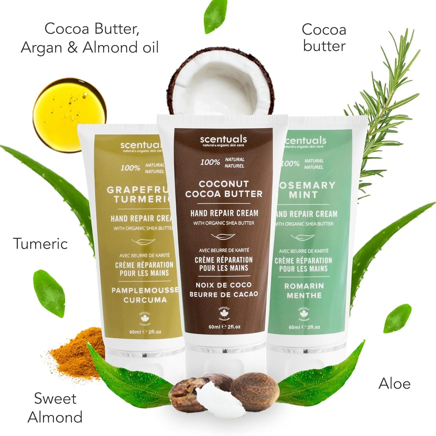 Hand Cream Set of 3, with Shea Butter, Cocoa Butter, Argan & Almond oil, Moisturizing Dry Hands, (Grapefruit Turmeric + Rosemary Mint + Coconut Cocoa Butter) 60 ml (2 fl.oz.) x 3