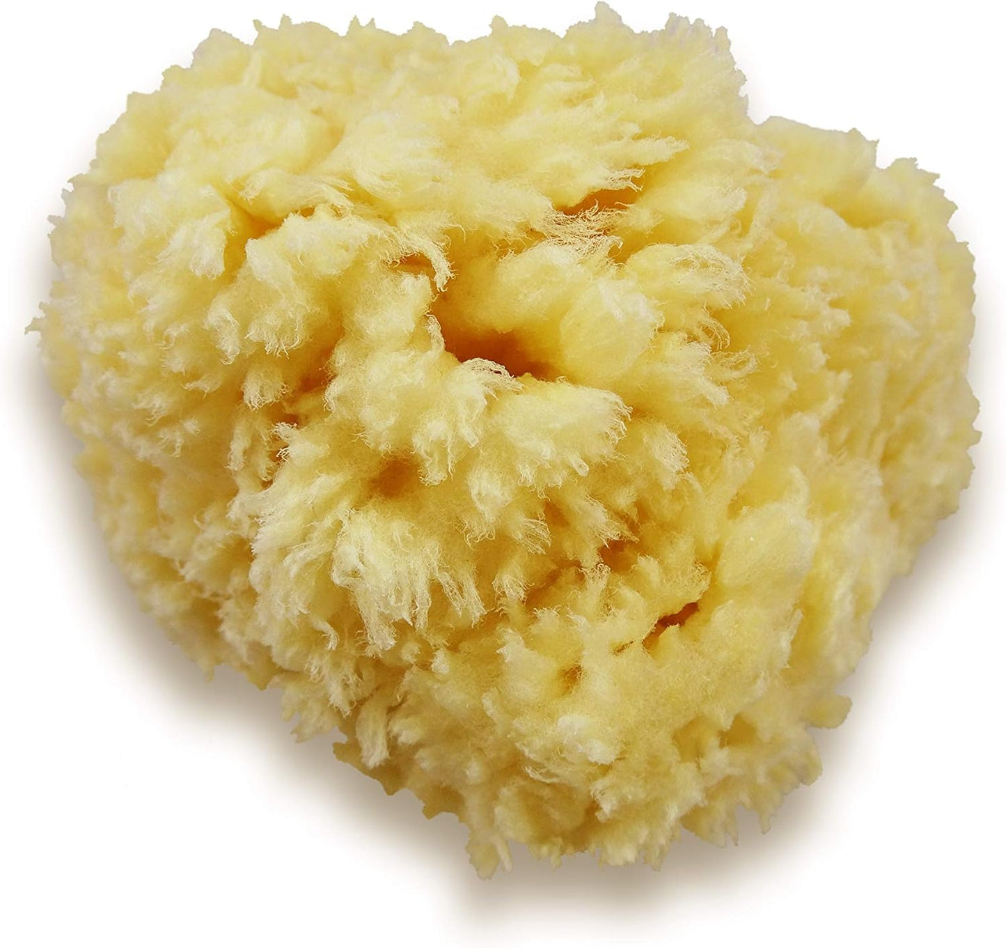 Premium Natural Sea Wool Sponges - 2 Soft Real Sponges 6"-7" (Large) & 3"- 4" (Medium); Perfect Luxury Gift for Bath, Shower and Cosmetic Facial Cleansing by Constantia Beauty®