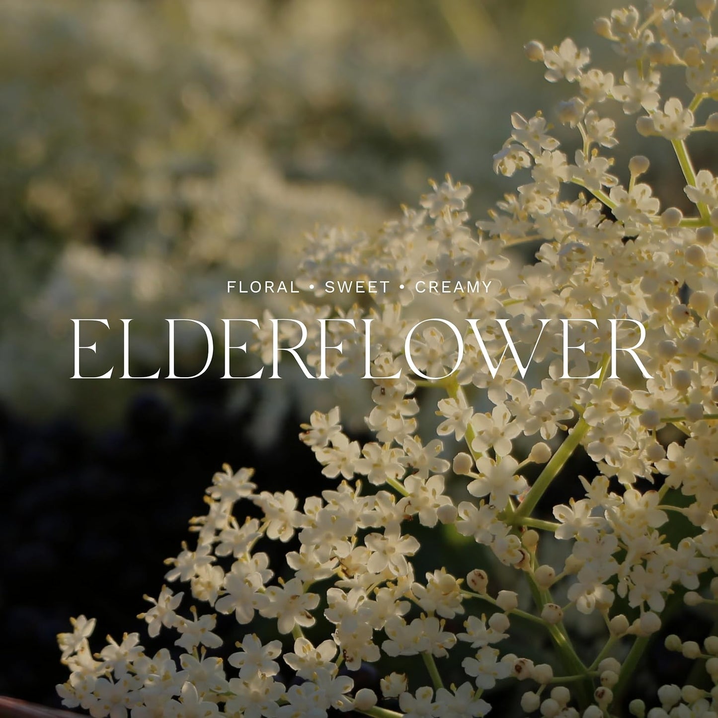 Antica Farmacista Elderflower Bubble Bath, 16 Fl Oz