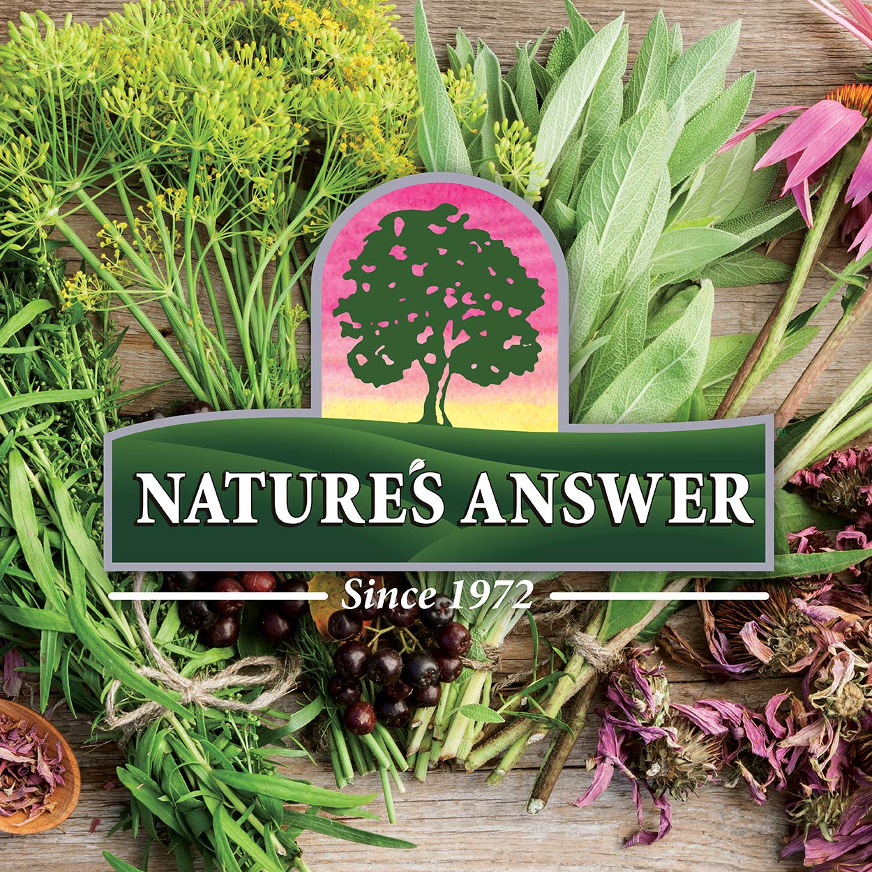 Natures Answer Periobrite Mouthwash 16 oz | Whitens Teeth | Freshens Breath | Removes Plaque | Minimizes Dry Mouth