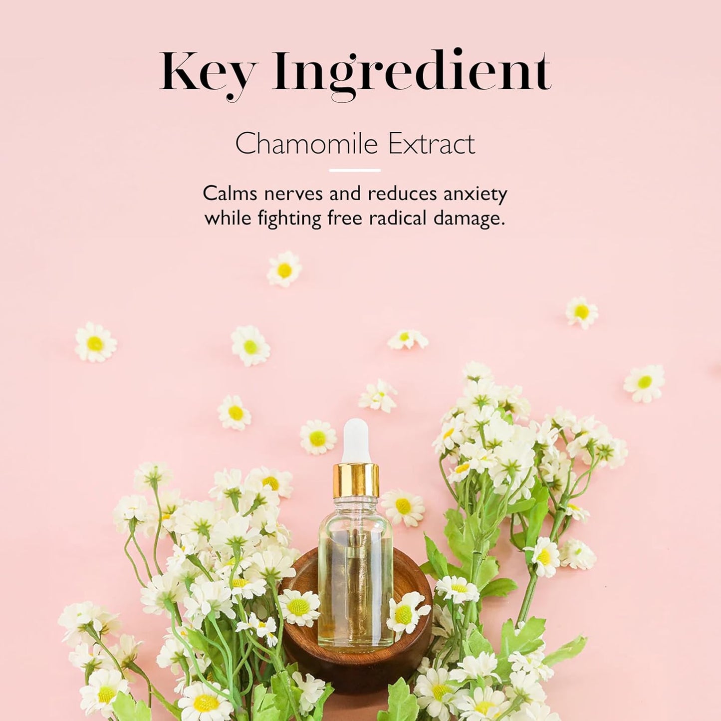 Spongelle Farm Animals Danny Duck