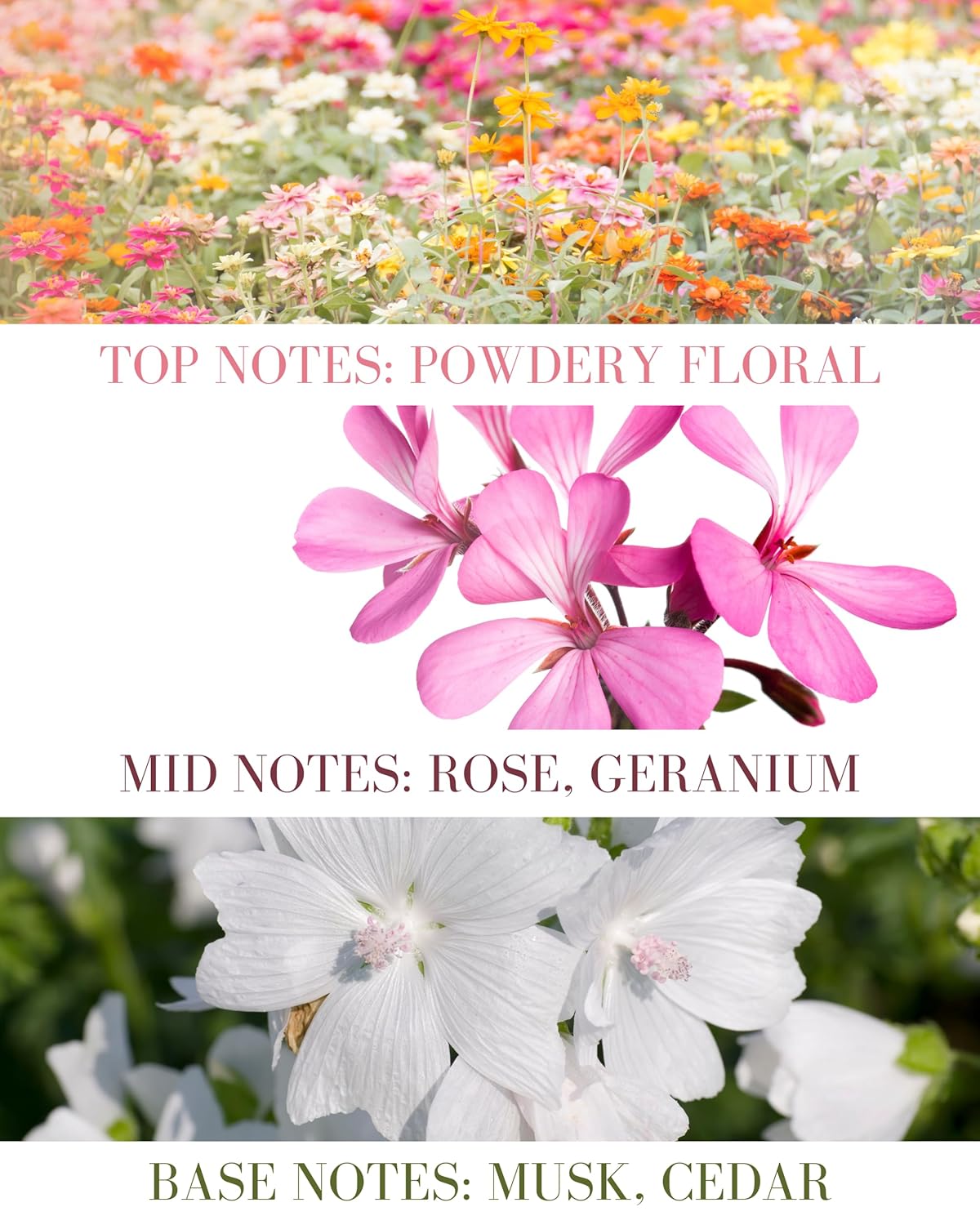 Baby Powder Natural Hair & Body Mist Spray, Twin Pack, Pure Essential and Fragrance Oils, Alcohol-Free, Handmade in California (2 x 0.5Fl Oz)