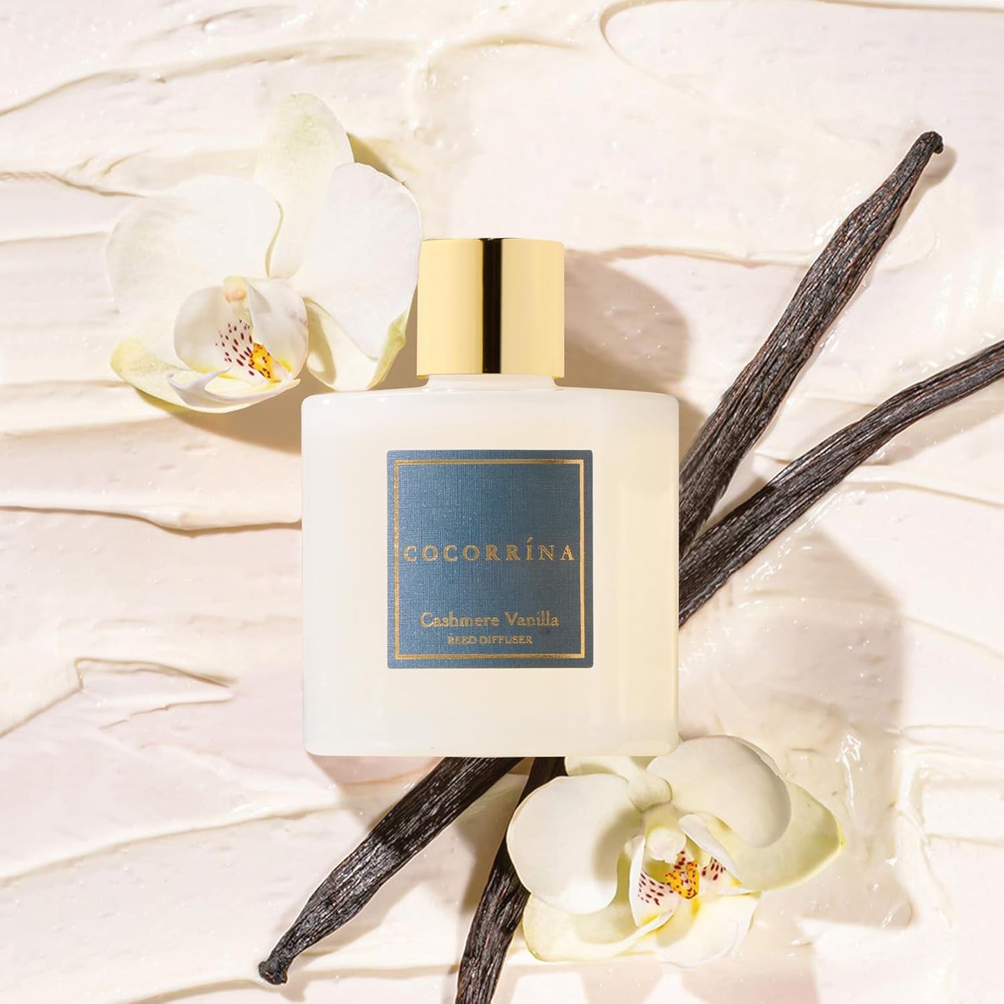 Cocorrína Premium Reed Diffuser Set with Preserved Baby's Breath & Cotton Stick Cashmere Vanilla | 6.7 fl oz Scent Fragrance Oil Diffuser for Bedroom Bathroom Home Décor