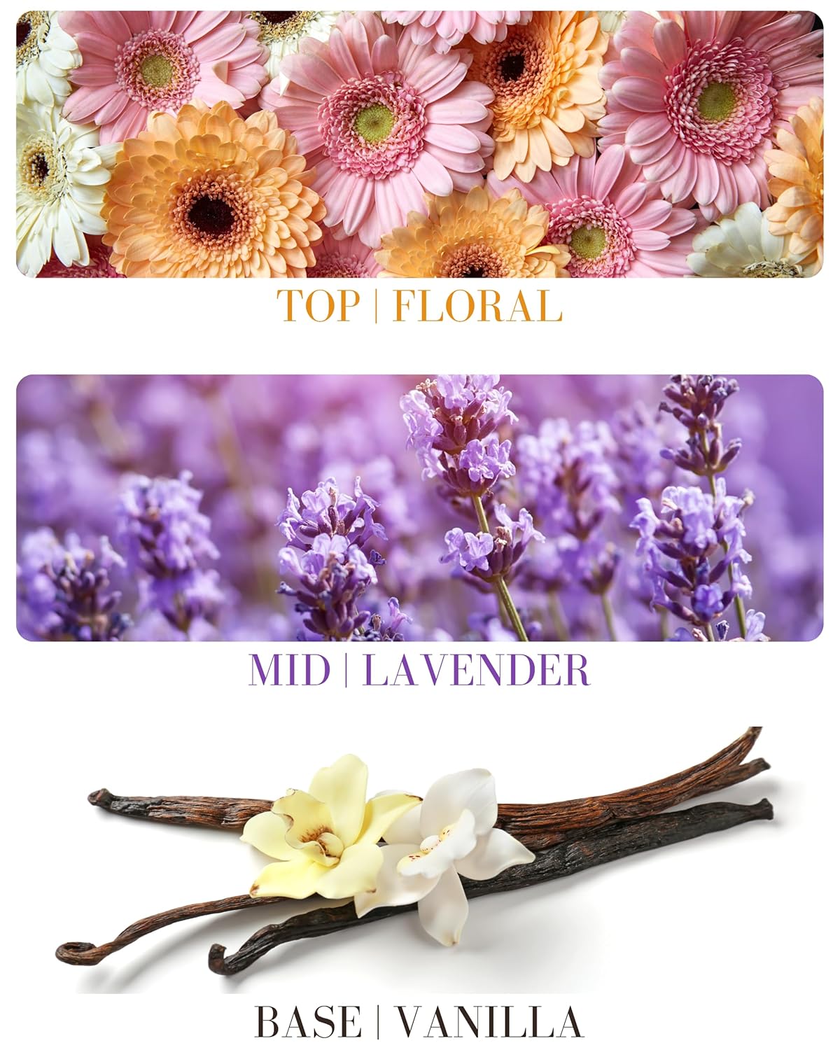 Lavender Vanilla Natural Hair & Body Mist Spray, Pure Essential and Fragrance Oils, Alcohol-Free, Handmade in California, 0.5Fl Oz