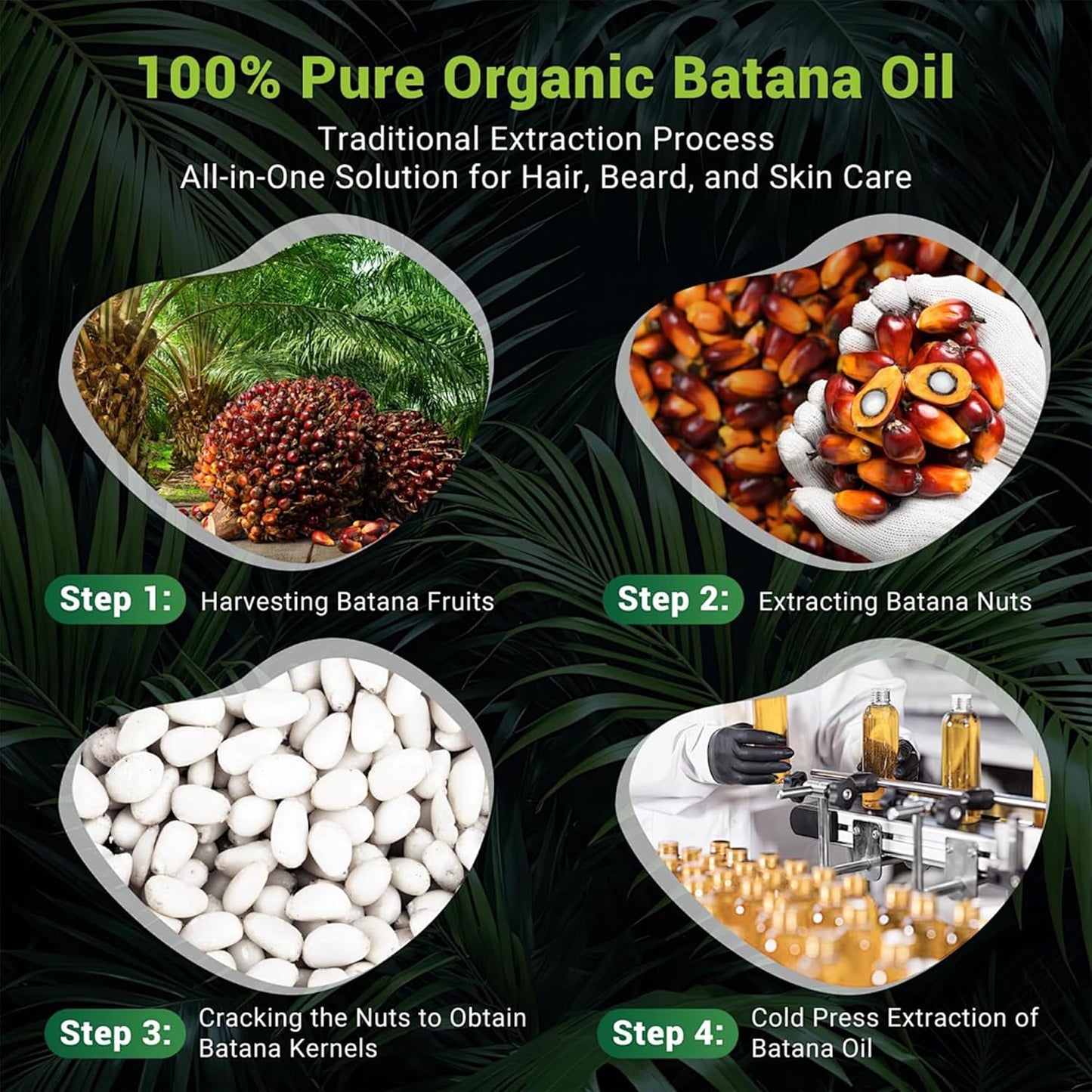 Batana Oil for Hair Growth, 100% Pure & Unrefined - Deep Repair Dry Damaged Hair, Reduce Frizz & Split Ends, Nourish Scalp with Omega 9 & Vitamin E, for All Hair Types (60ml 2.03Fl.Oz)
