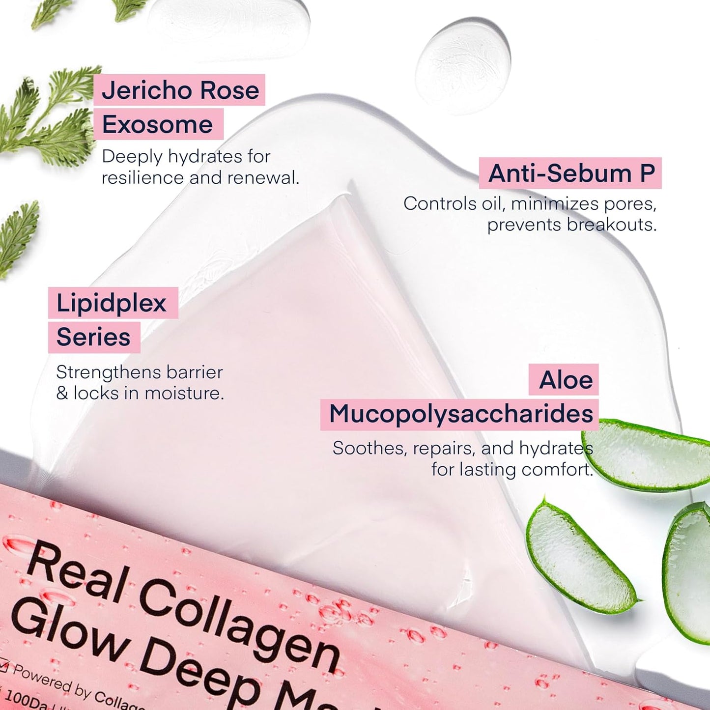 TEREZ & HONOR Collagen Face Mask: Korean Real Deep Bio Hydrogel Overnight Masks for Deep Hydration, Glowing, Pore Minimizing, Elasticity, 4 x 33g Fragrance-Free, 100 Da Ultra-Low Molecular Collagen