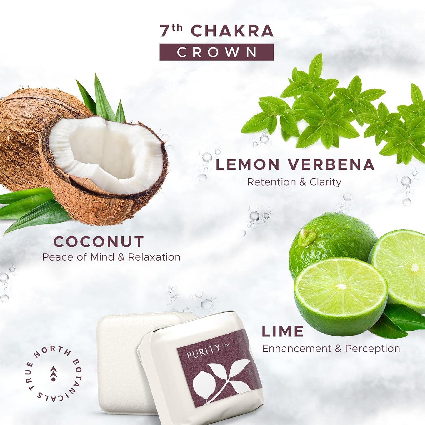 Large Shower Steamers (12 Pack-1.75oz Each) Chakra Aromatherapy Optimism & Self-Esteem-Ideal Men/Women/Teens Christmas & Birthdays (7th Chakra - Verbana, Coconut, & Lime)