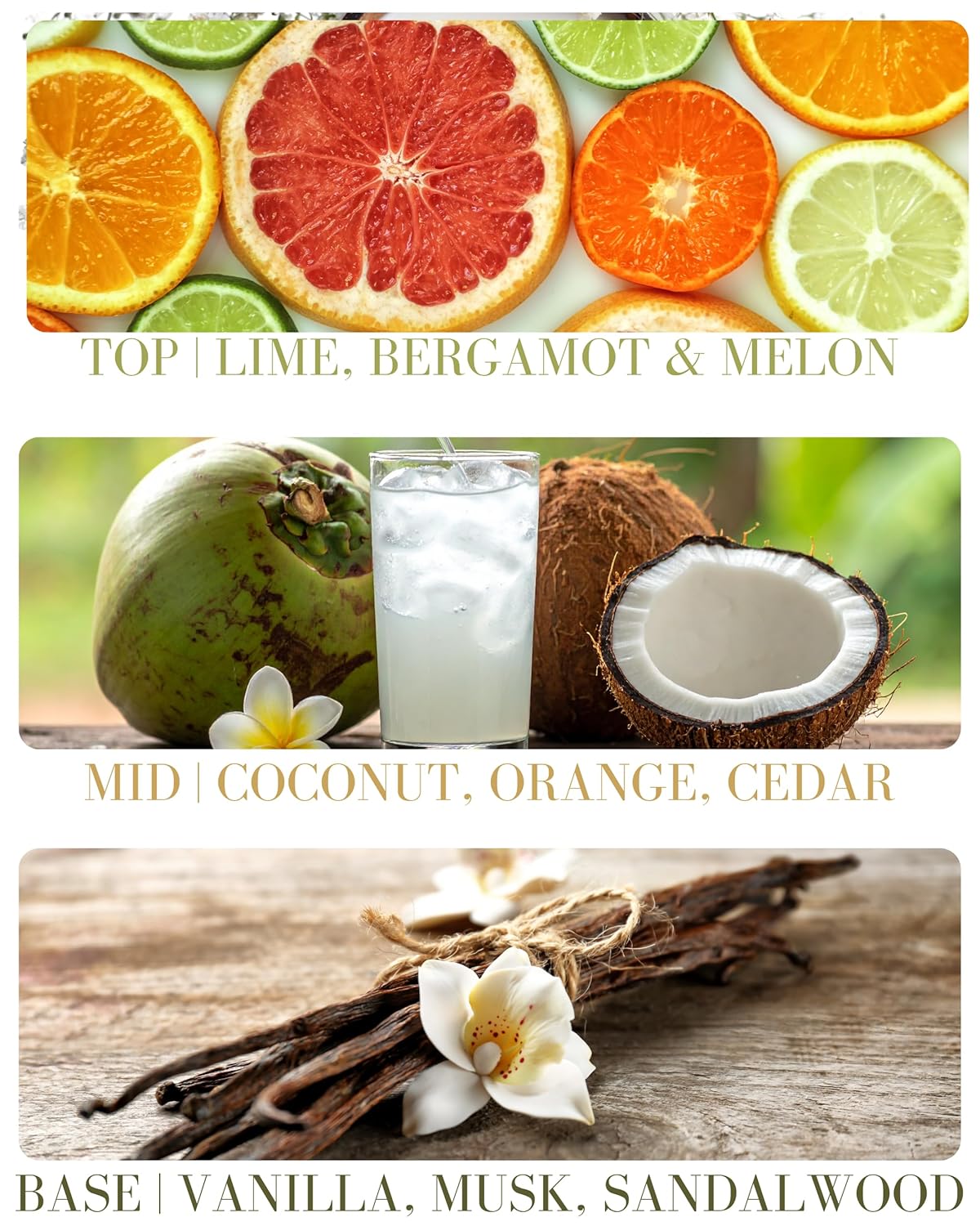 Coconut Lime Verbena Natural Hair & Body Mist Spray, Pure Essential and Fragrance Oils, Alcohol-Free, Handmade in California, 0.5Fl Oz