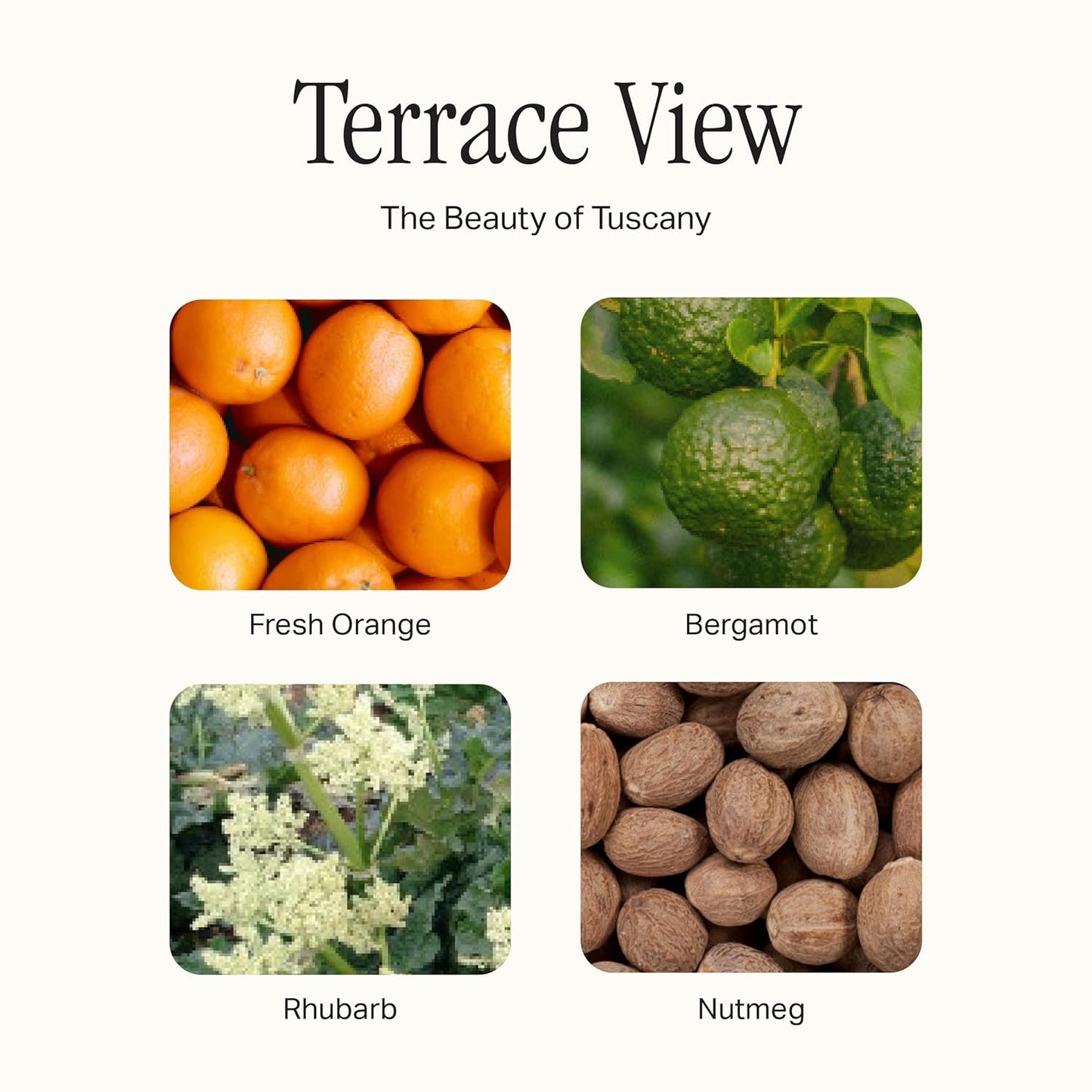 Preston Lane The Hand Cream, Non-Greasy Moisturizer, Nourishing, Essential Oils & Hyaluronic Acid