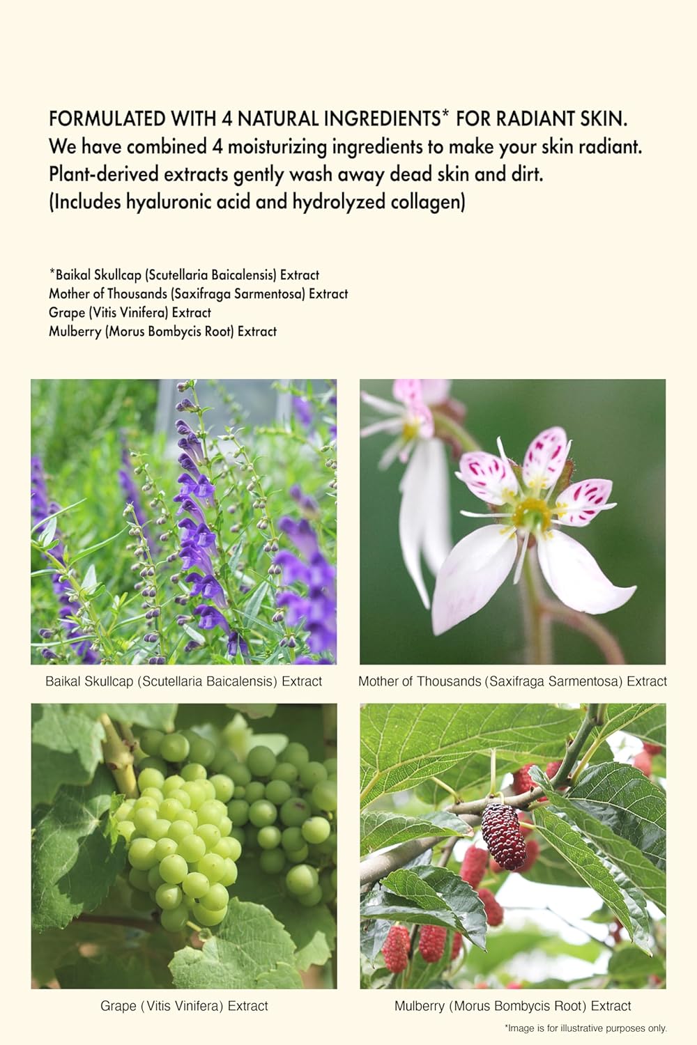 iroha Intimate Care-PH Balanced Daily Feminine Wash-Plant Based Vulva Hygiene-Moisturizing Natural Essential Oils-Refreshing Sweet Citrus Scent, Made in Japan, 5 fl