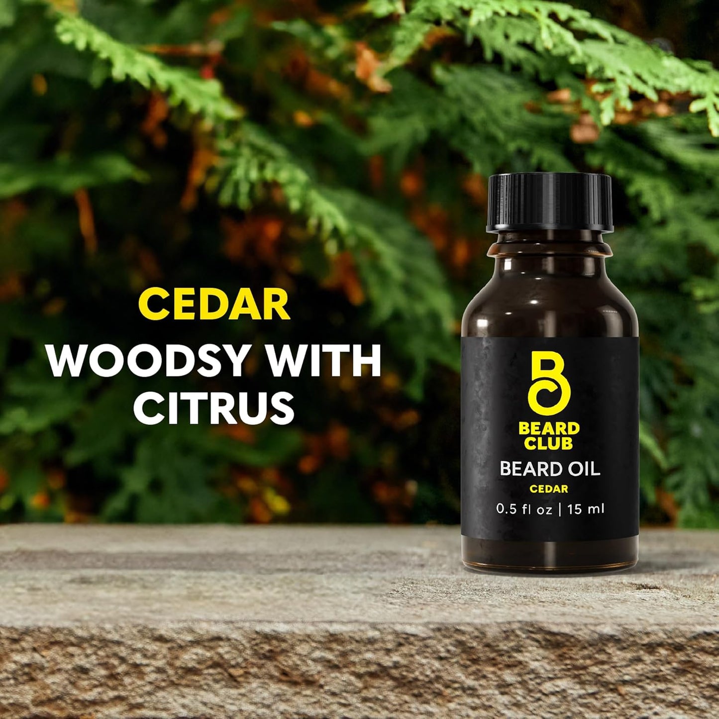 The Beard Club Premium Cedar Beard Oil for Men - Natural Castor & Almond Oils - Beard & Mustache Conditioner - Hydrates, Moisturizes, Softens & Soothes Dry Skin - Strengthens Hair Follicles