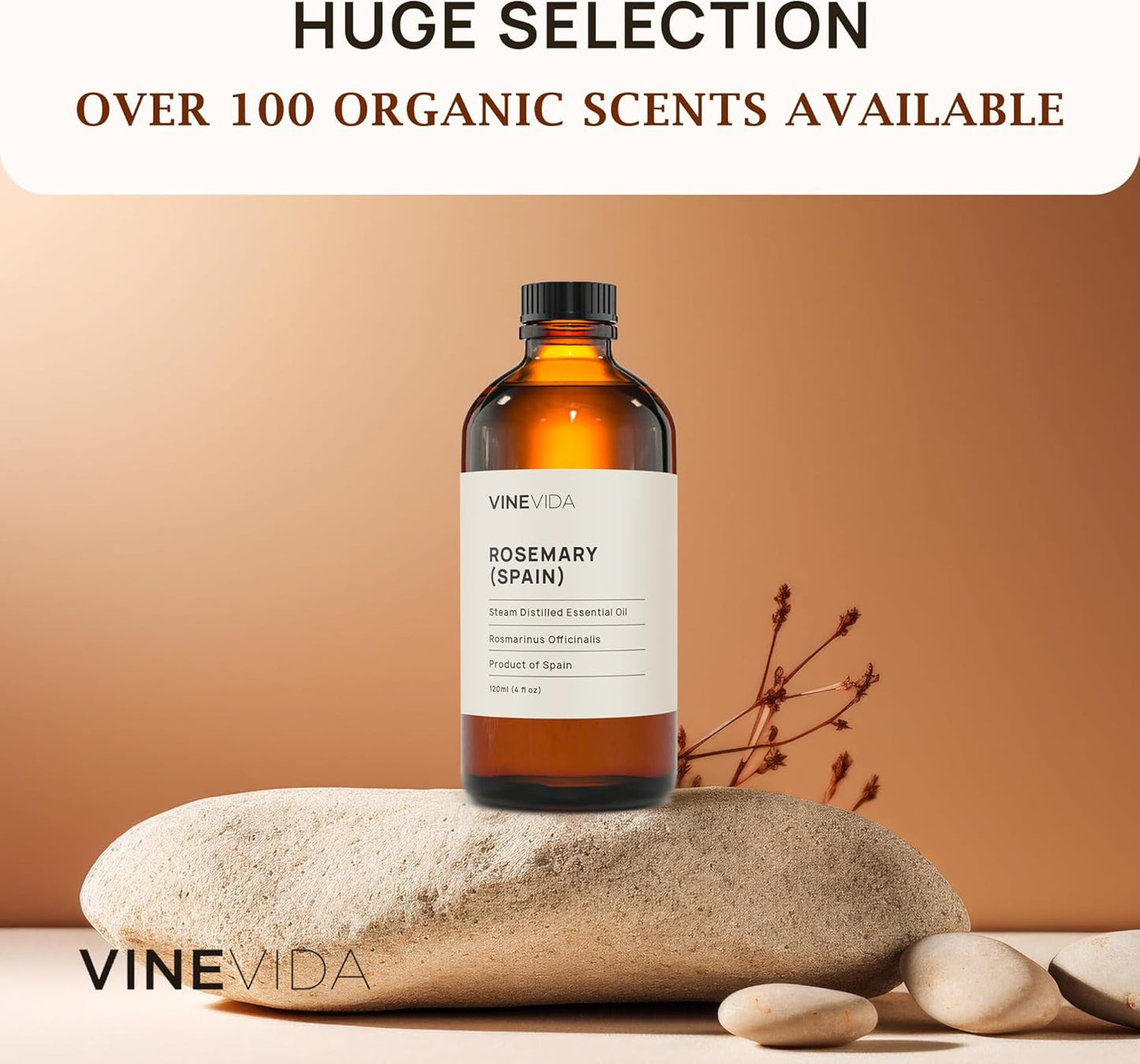VINEVIDA Rosemary Spain Essential Oil 4 oz - Undiluted, Pure, Vegan, and Sustainable