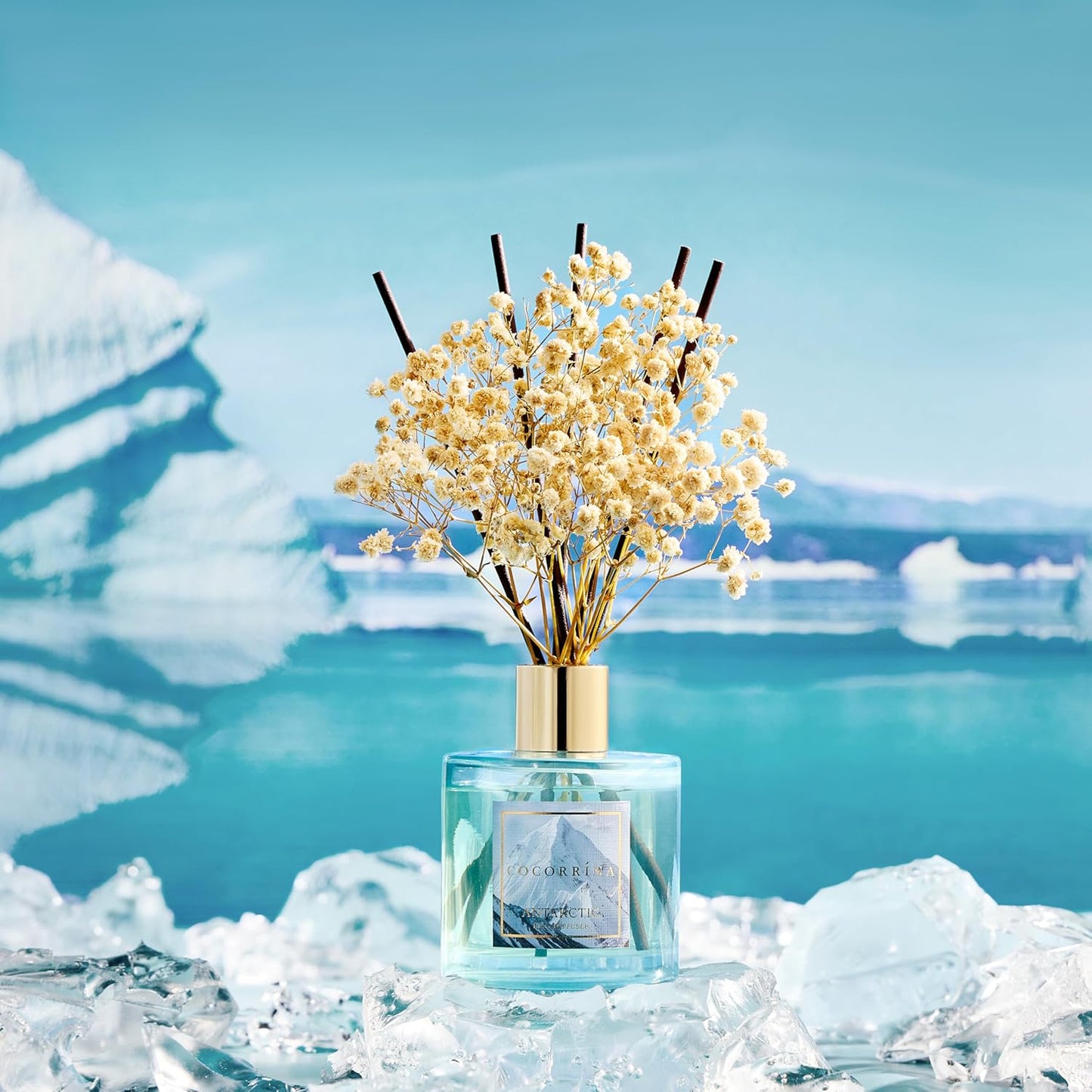 COCORRÍNA Reed Diffuser - Antarctic 6.7 Fl.oz Reed Diffuser Set with 8 Sticks & Preserved Baby's Breath, Reed Diffuser for Home Bathroom Shelf Decor