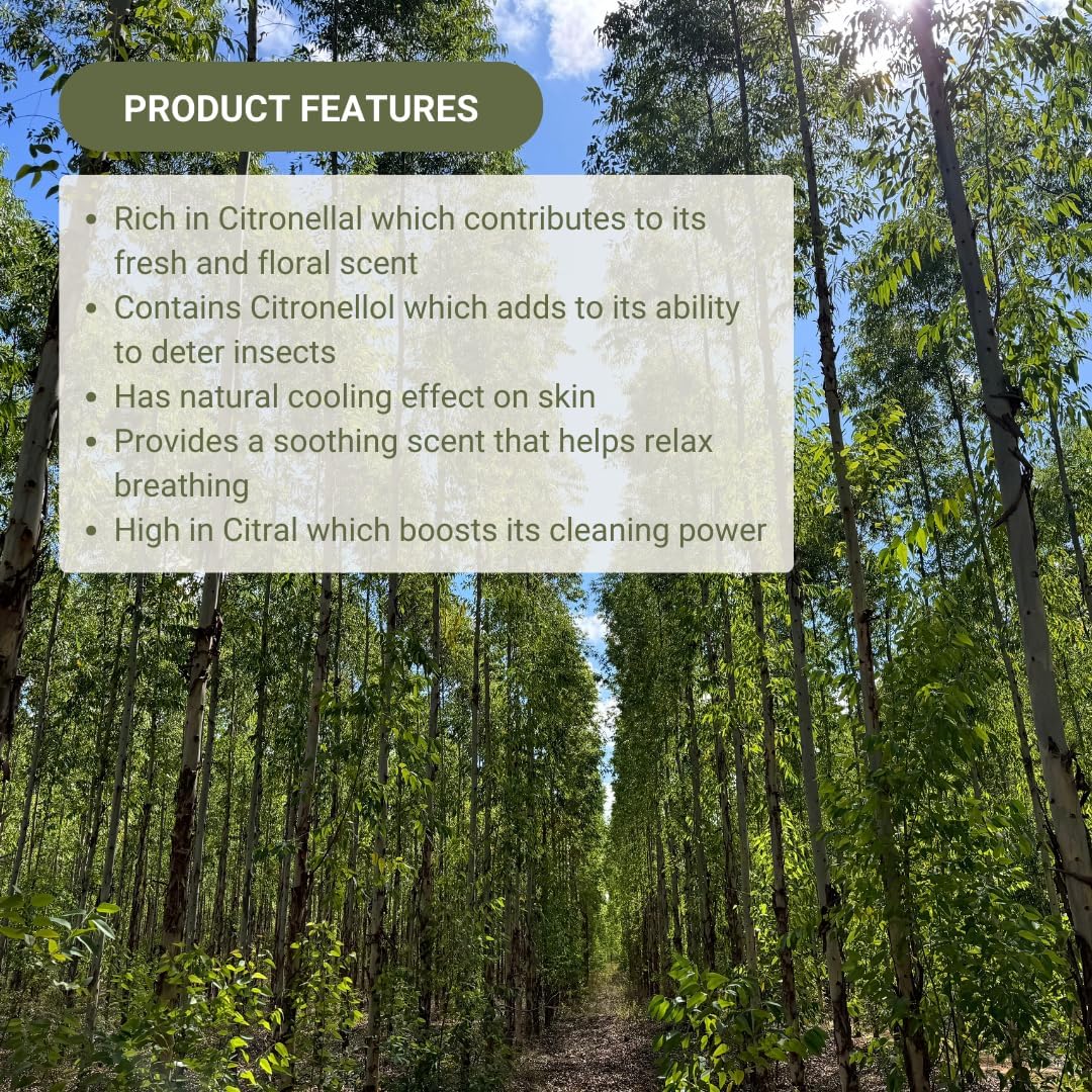 Lemon Eucalyptus Oil by Eucaliptus from Brazil - Essence of Lemon Eucalyptus (8 oz)