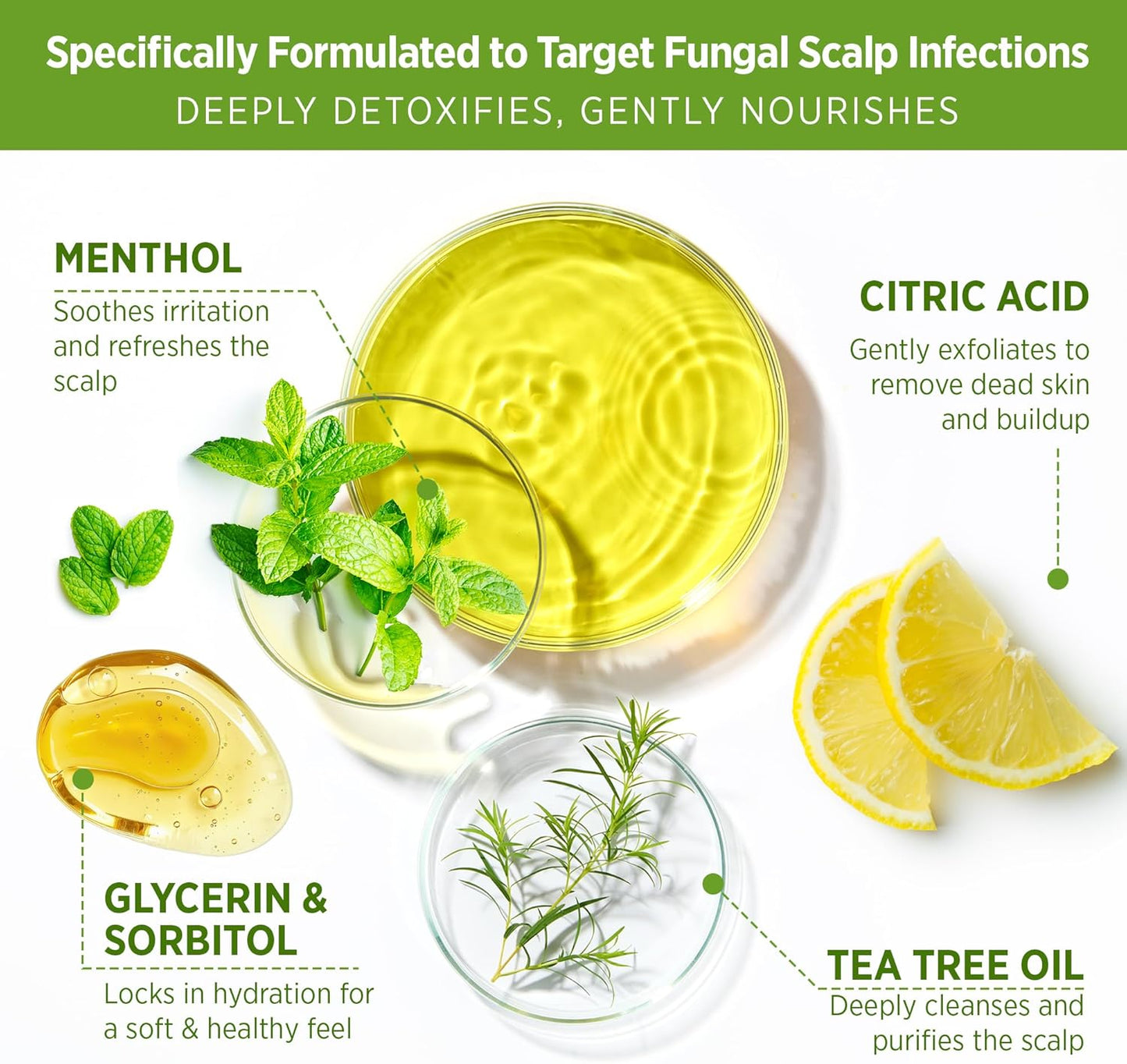 Roycederm Tea Tree Scalp Scrub: Anti Fungal Pre Shampoo, Itchy Relief Scalp Treatment for Dandruff, Psoriasis & Seborrheic Dermatitis - Gently Exfoliator, Relieves Dryness, Promotes Hair Growth