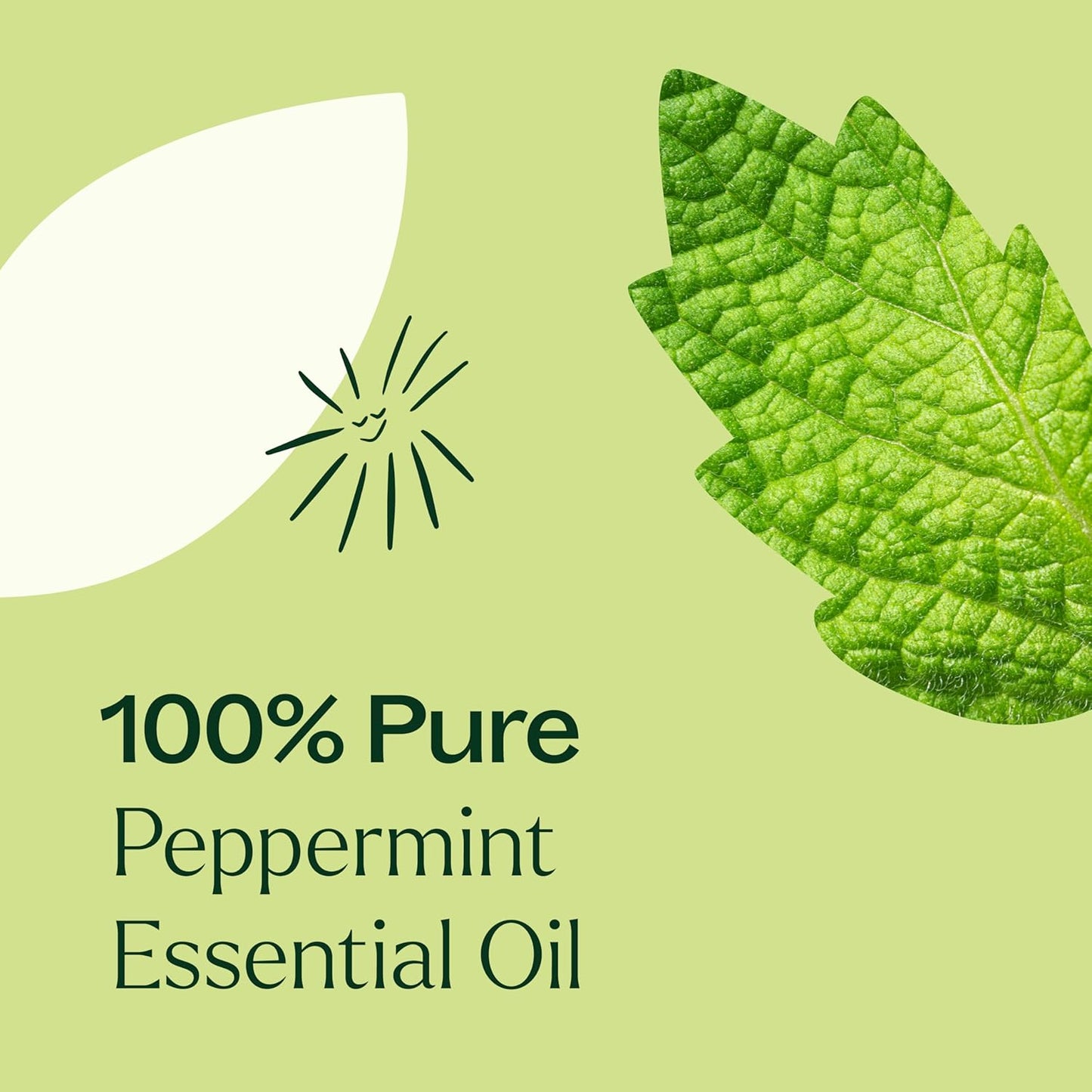 Plant Therapy Peppermint Essential Oil 30 mL (1 oz) 100% Pure, Undiluted, Natural Aromatherapy for Diffuser & Topical Use, Relaxation, Digestion, Respiratory, & Massage, Peppermint Oil for Skin & Hair