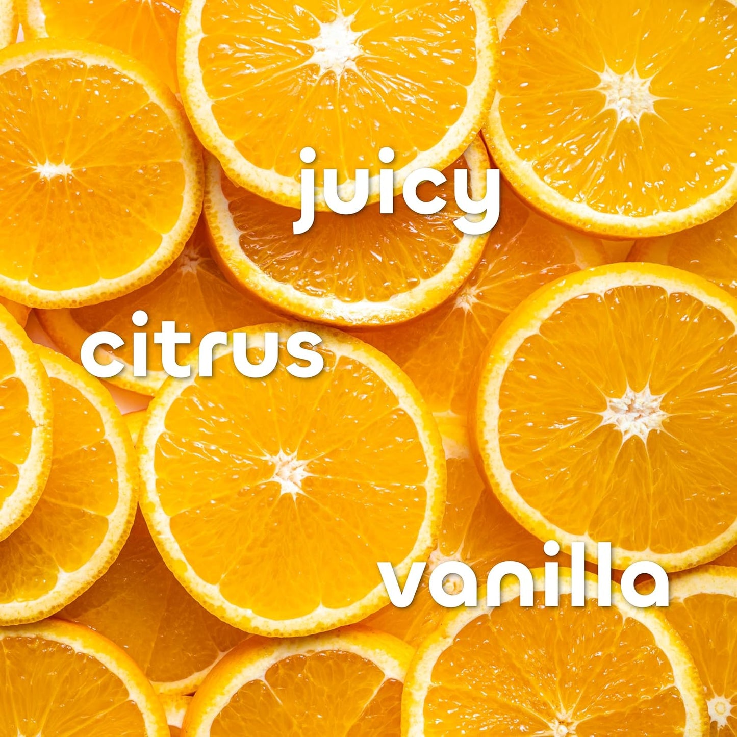 Seaweed Bath Co. Hydrate Body Cream, Citrus Vanilla Scent, 6 Ounce, Nourishing Hand & Body Lotion Moisturizer for Dry Skin, with Sustainably Harvested Seaweed, Kukui Oil, Hyaluronic Acid, Shea Butter