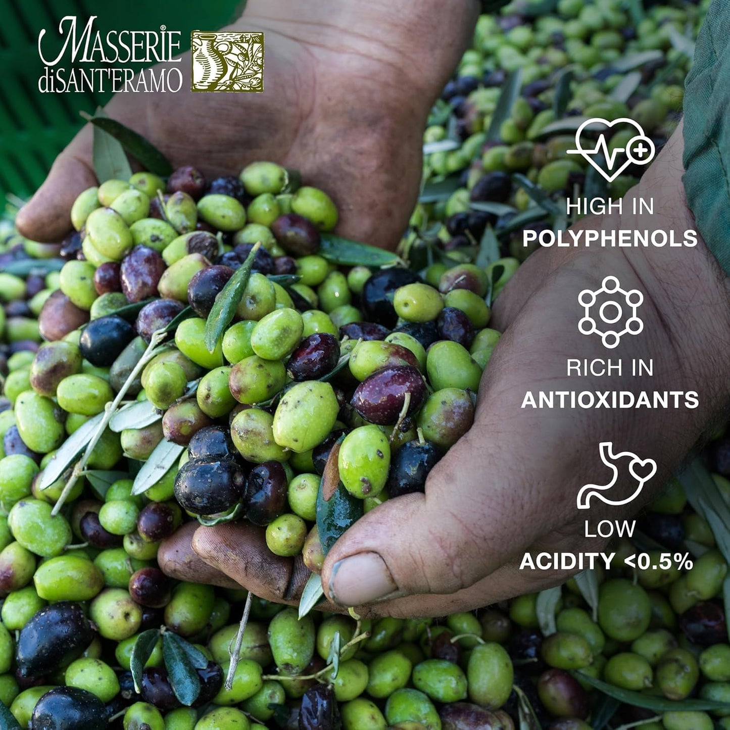 Delicate Italian Extra Virgin Olive Oil Cold Pressed - Light Olive Oil for Cooking and Frying, Imported from Italy - Masserie di Sant'Eramo - 25.5 Fl Oz (Pack 1)