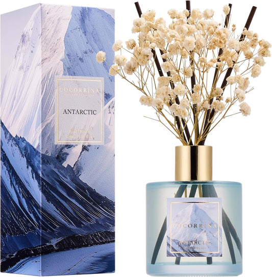 COCORRÍNA Reed Diffuser - Antarctic 6.7 Fl.oz Reed Diffuser Set with 8 Sticks & Preserved Baby's Breath, Reed Diffuser for Home Bathroom Shelf Decor
