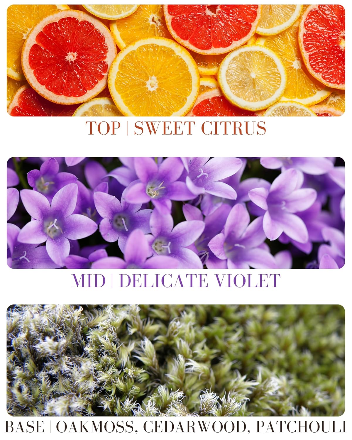 Orange Patchouli Natural Hair & Body Mist Spray, Pure Essential and Fragrance Oils, Alcohol-Free, Handmade in California, 0.5Fl Oz