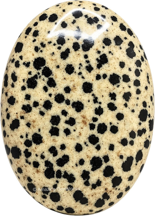 Amazing Gemstone Dalmatian Jasper Crystals and Healing Stones - Large Palm Stone Crystals Piedra - Crystal for Good Luck, Positive Energy, Meditation - Unique Stocking Stuffers Gifts for Women, Men