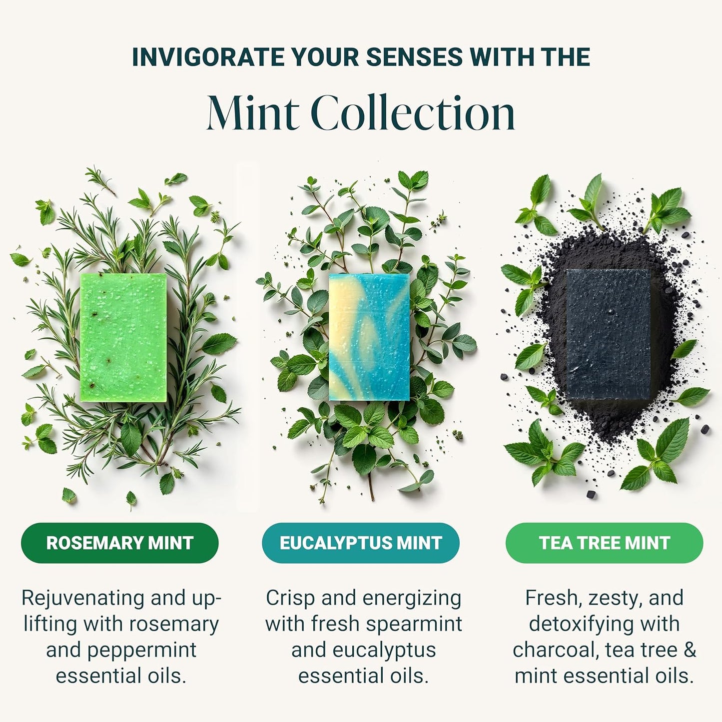 The Bubble Factory Handmade Natural Bath & Body Soap Bar, Vegan, All-Natural, Palm Oil Free, Made in USA with Shea Butter + Essential Oils, Eucalyptus Mint/Rosemary Mint/Tea Tree Mint, 3 Bars