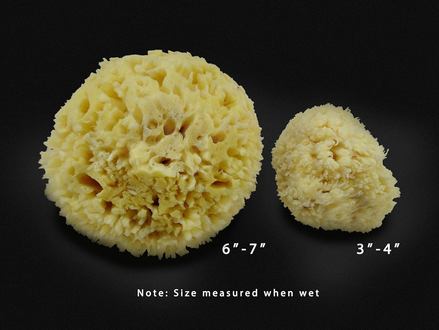 Premium Natural Sea Wool Sponges - 2 Soft Real Sponges 6"-7" (Large) & 3"- 4" (Medium); Perfect Luxury Gift for Bath, Shower and Cosmetic Facial Cleansing by Constantia Beauty®