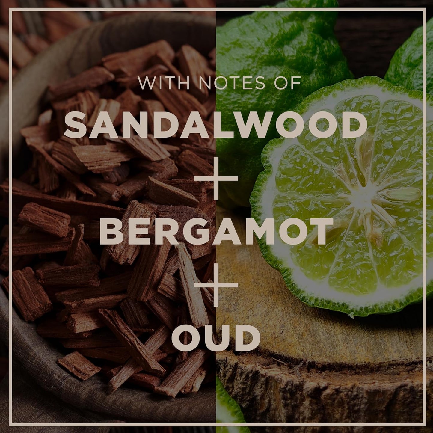 CHI Pour Homme Beard Oil for Men, Softens & Smooths Hair & Moisturizes Skin, Promotes Growth, Made With Aloe Vera & Nettle, Fresh, Woody Scent, 2 oz