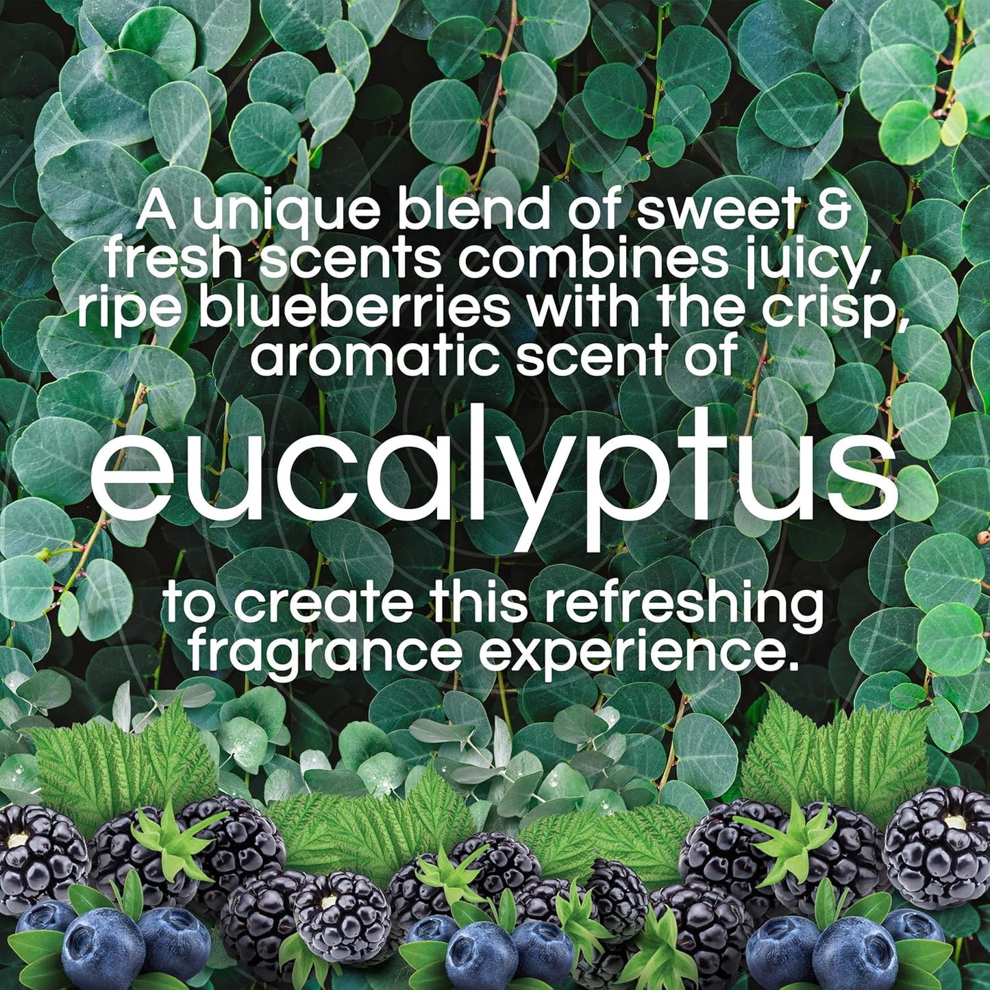 Air Wick Scented Oils 0+5 Eucalyptus & Wild Berries