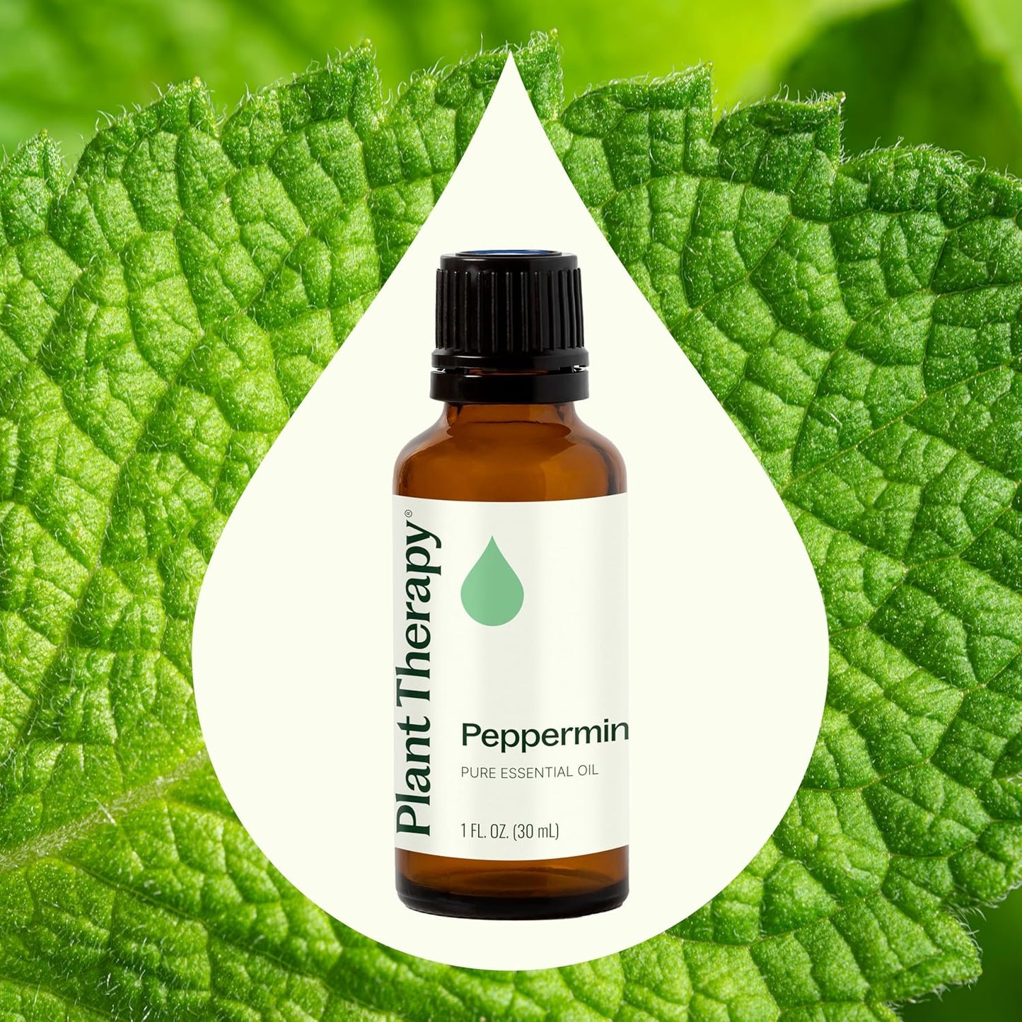 Plant Therapy Peppermint Essential Oil 30 mL (1 oz) 100% Pure, Undiluted, Natural Aromatherapy for Diffuser & Topical Use, Relaxation, Digestion, Respiratory, & Massage, Peppermint Oil for Skin & Hair