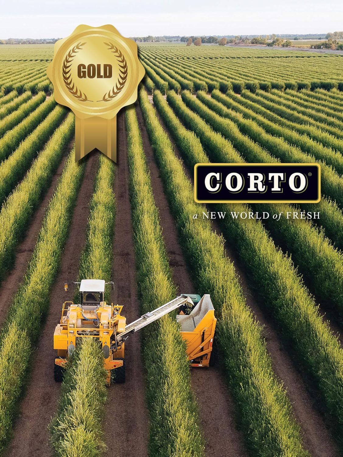 Corto TRULY® | 100% Extra Virgin Olive Oil | Floral Notes | Cold Extracted in State-of-the-Art Mill | Straight from Official Corto Olive Groves & Oil Producer | Oxygen-Free, Light Free FlavorLock Box